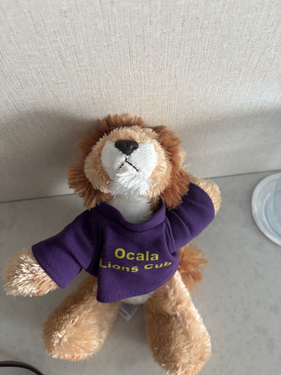 Cubby Jr., the club’s stuffed lion mascot, in an Ocala Lions shirt